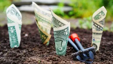 how to teach your child about money